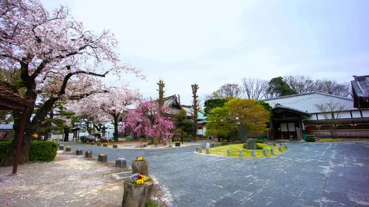 ゆっくりとした時間が流れる街、祐天寺