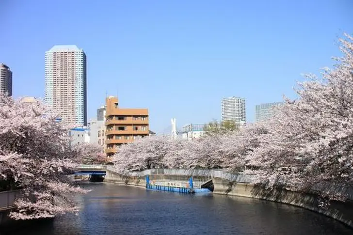 江戸の風情が残る門前仲町！深川仲町商店街は下町情緒満載！　