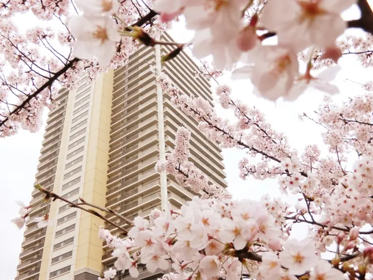 ”入居前”のリフォームをおすすめしたいワケ