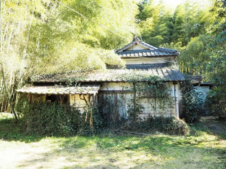 空き家問題の現状と考えられる解決策とは?