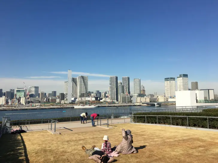 豊洲市場の屋上緑化エリアに行ってきました!