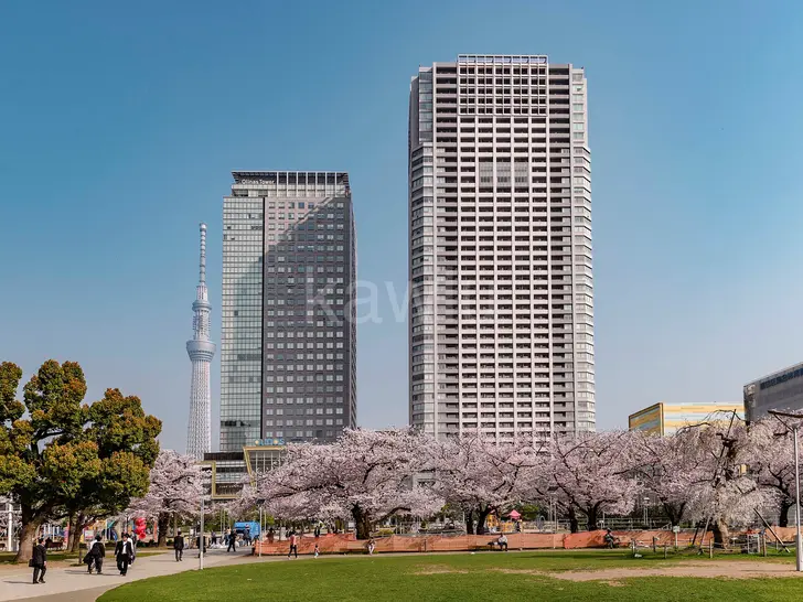 ブリリアタワー東京は錦糸町から徒歩5分の駅近タワーマンション!