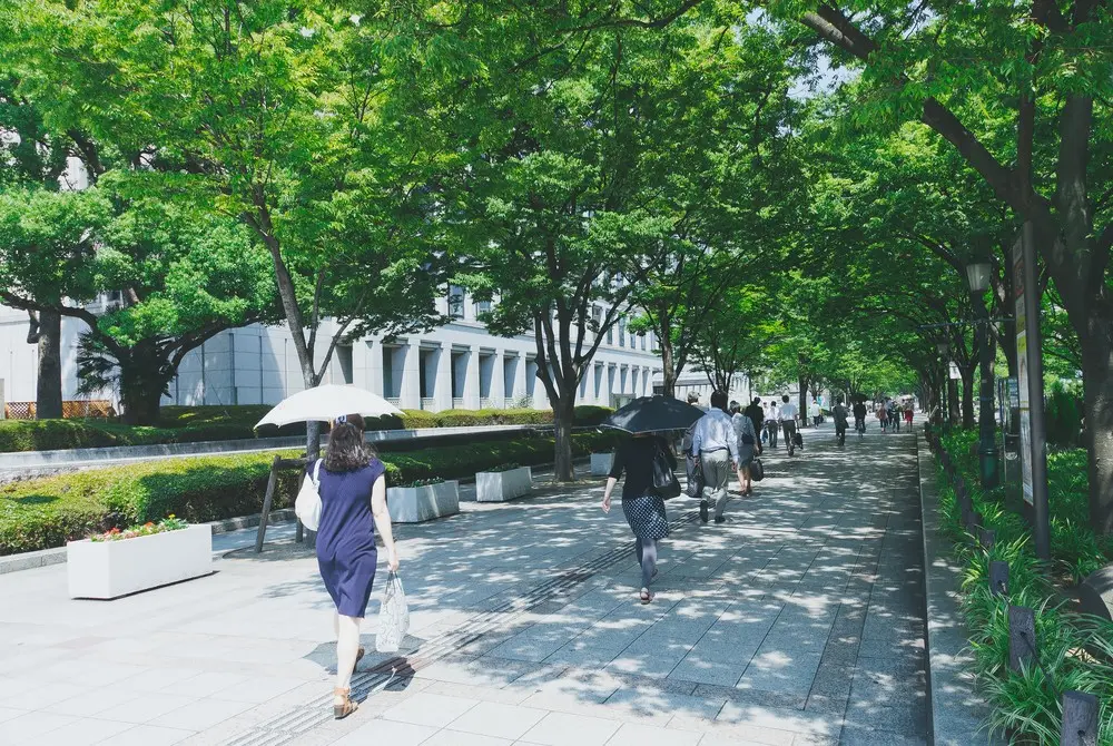 住んでみたい人気の街 自由が丘