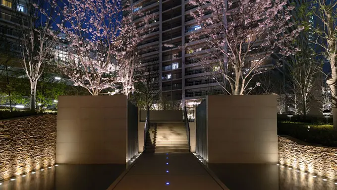 正面入口と桜