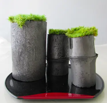 苔庭セット (M、S、S)