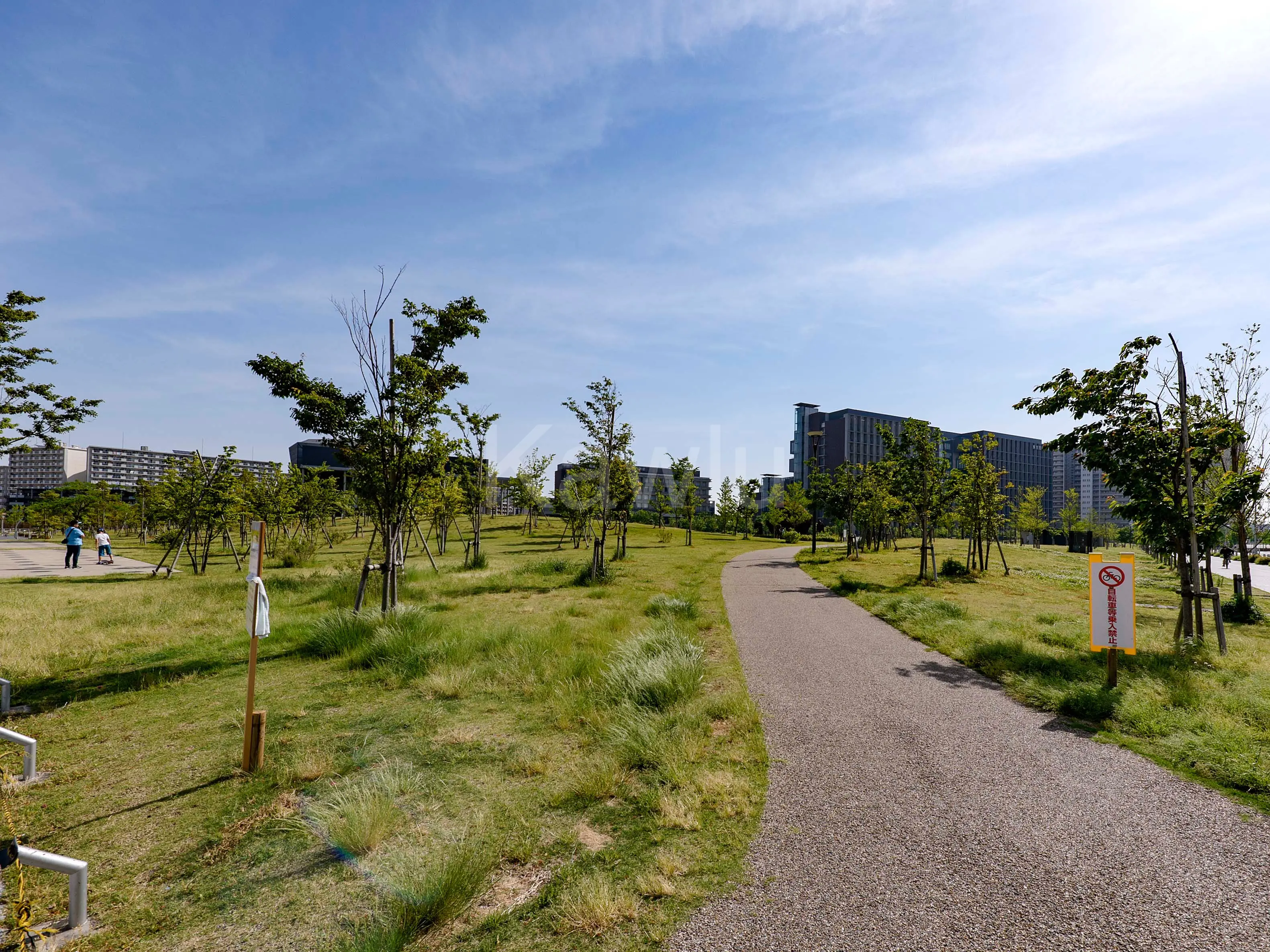 シティタワー金町_広場