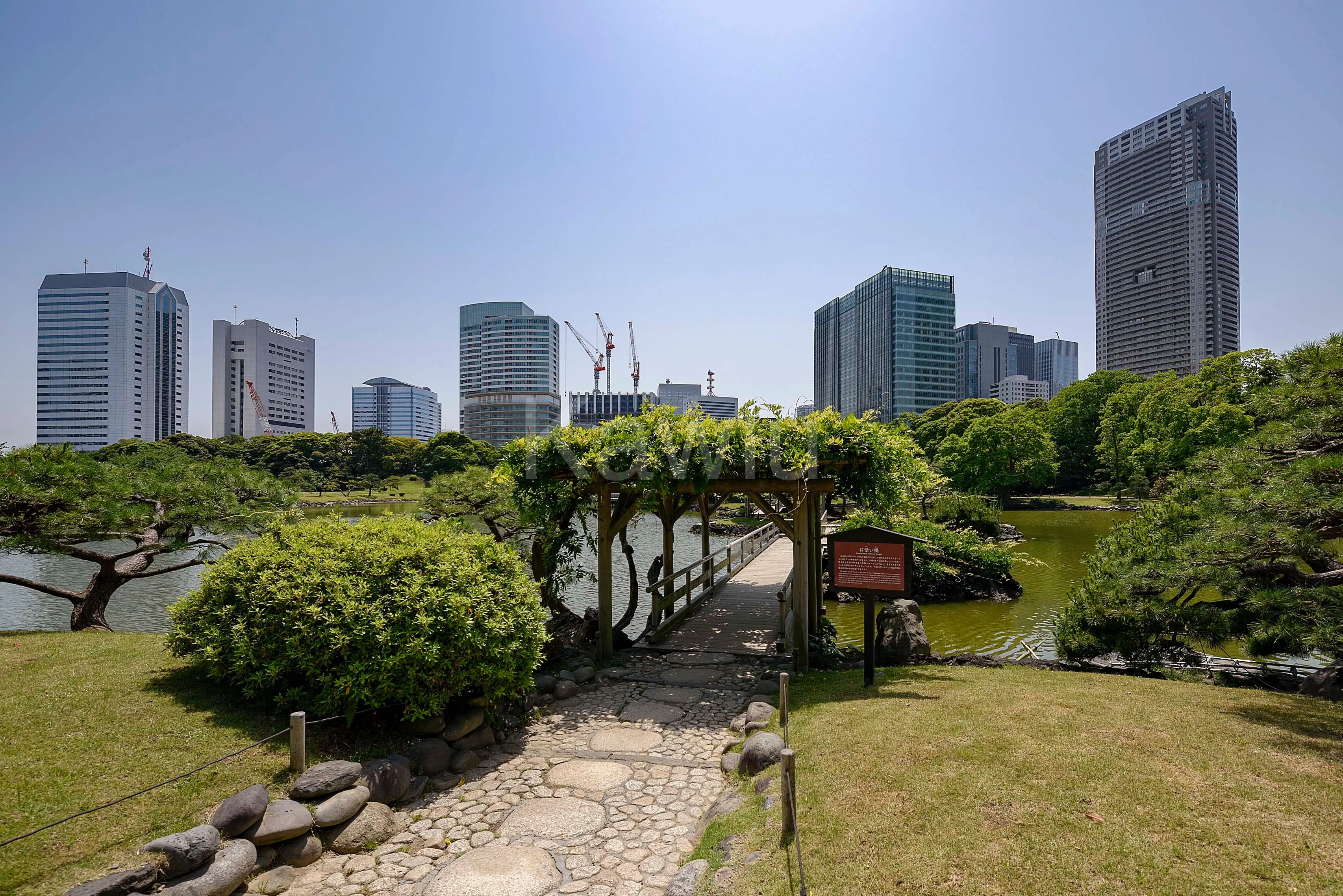 東京ツインパークス_浜離宮恩賜庭園